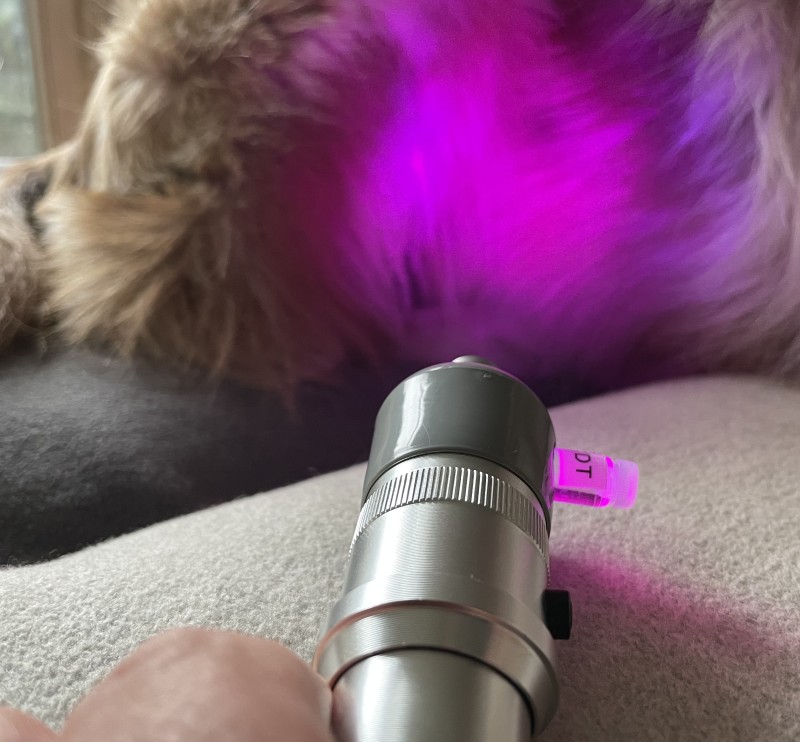 BIAS ® Chromotherapeut/in 2026 BIAS ® Chromotherapeut/in 2026