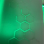 BIAS ®  Chromotherapeut/in 2026