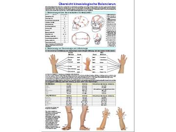 Kinesiologische Balancierung
