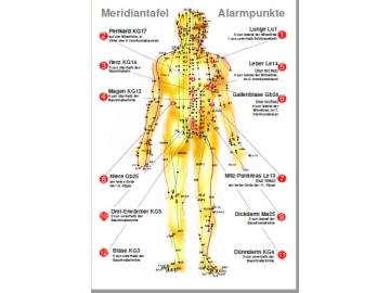 Meridiantafel Alarmpunkte
