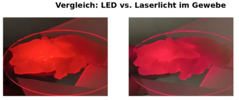 Regulative Farblichttherapie